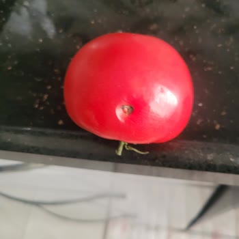 Beko Buzdolabı Karlama Ve Sogutma Problemi