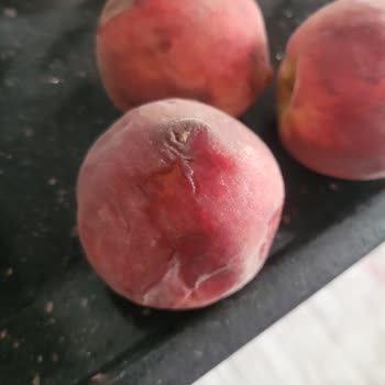 Beko Buzdolabı Karlama Ve Sogutma Problemi
