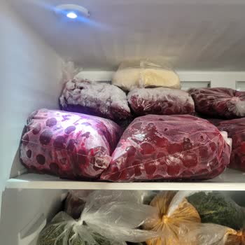 Beko Buzdolabı Karlama Ve Sogutma Problemi