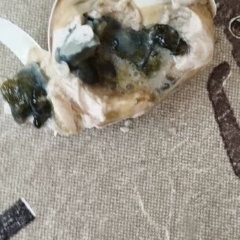 Yıltav Yumurta Yumurtanın Bozuk Olması