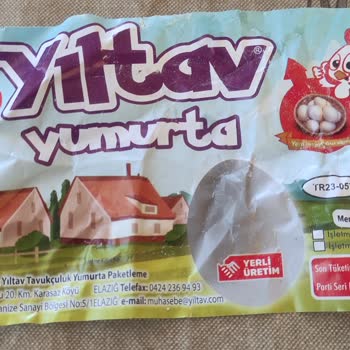 Yıltav Yumurta Yumurtanın Bozuk Olması