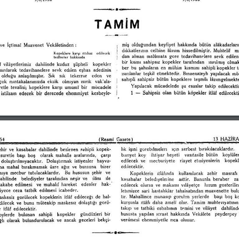 TBMM A******'ün Başıboş Köpek Sorunu Tamimi Talebi