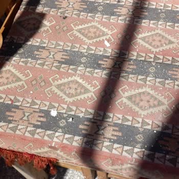 Dünyanın En İyi Klima Markasi Daikin Mis