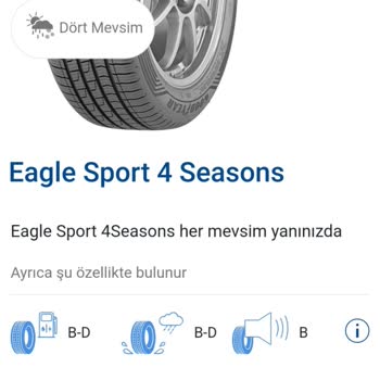 Goodyear Eagle Sport 4Seasons Lastik Problemi