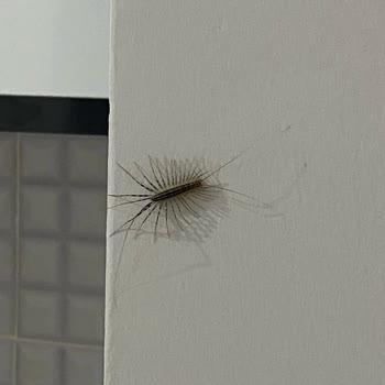 KYK Bayraklı Kız Yurdunda Hijyen Sorunları