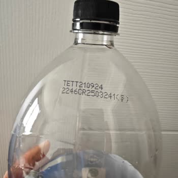 Found a Winged Bug in my 2.5L Pepsi Bottle