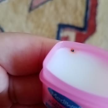 Mediwell Aldığım Nemlendirici De Bir Madde Var.