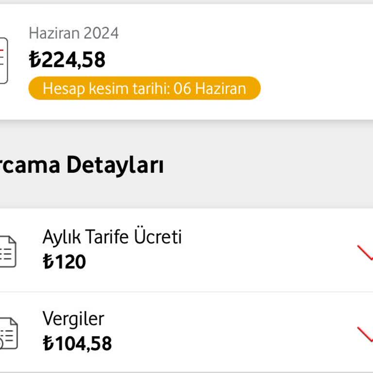 Vodafone Ücretlendirme Politikası Ve İşlemlerin Geciktirilmesi