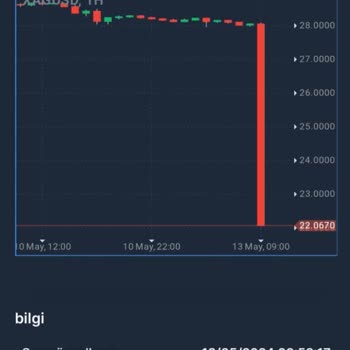 Alternative Llc Firması Düzgün Değil Maalesef!