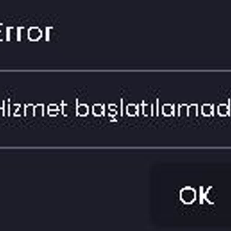 Rabisu Web Hosting Sunucu Hatası Alıyorum