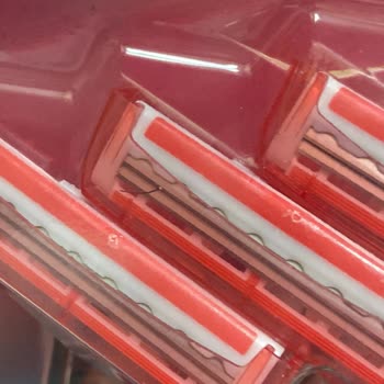 Derby Lady Jiletin Üstünde Kıl