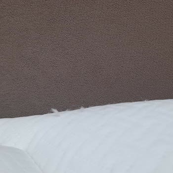 Enza Home Ve Yataş Hayal Kırıklığı Yaşattı!
