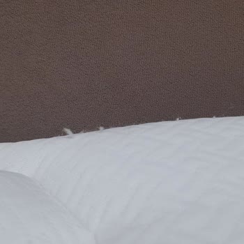 Enza Home Ve Yataş Hayal Kırıklığı Yaşattı!