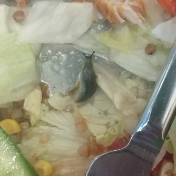 Greensalads Ayıplı Ürün