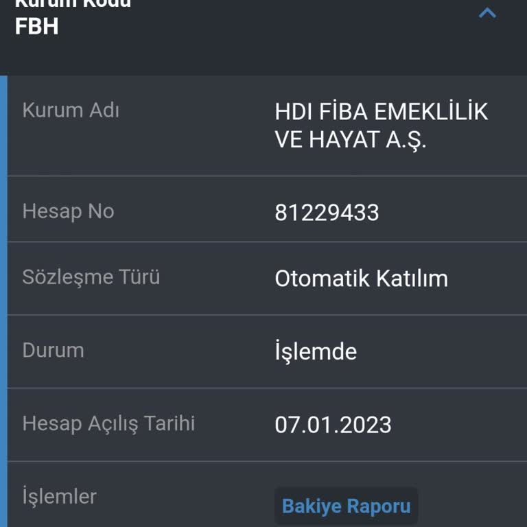 HDI Fibaemeklilik Bireysel Emeklilik İptali