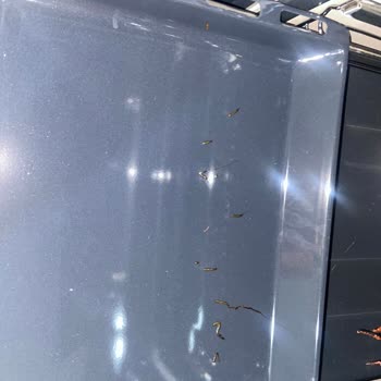 Siemens Kendi Hatalarının Telafisi İçin Ücret Talep Etti