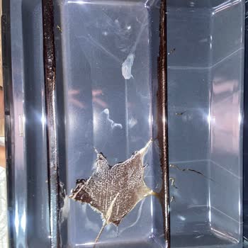 Siemens Kendi Hatalarının Telafisi İçin Ücret Talep Etti