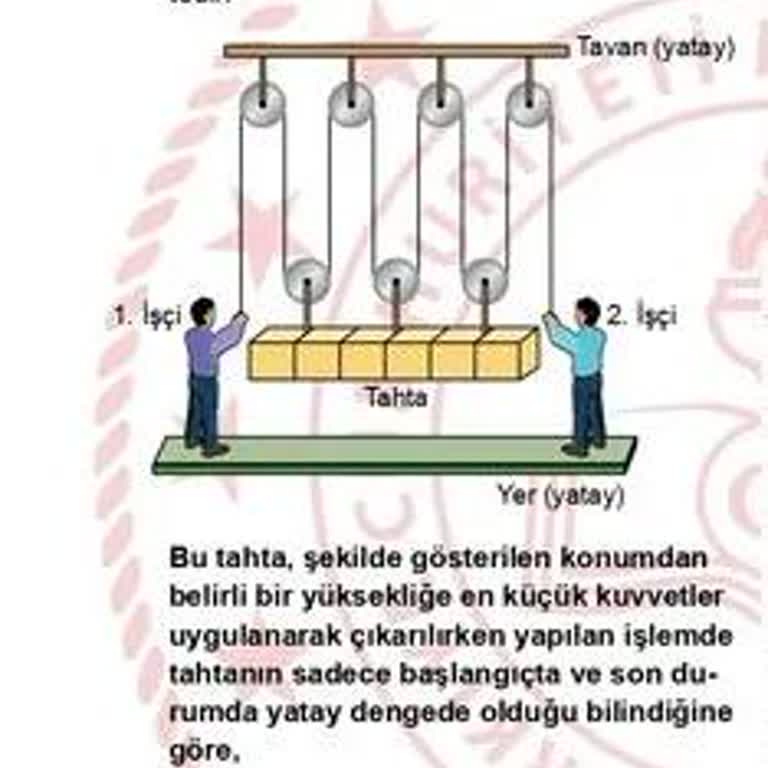 Milli Eğitim Bakanlığı (MEB) LGS 2024 Hatalı Fen Bilimleri Sorusu (A Kitapçığı Soru 13)