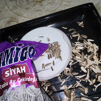 Amigo Böceğin Tuzlu Çekirdek Macerası