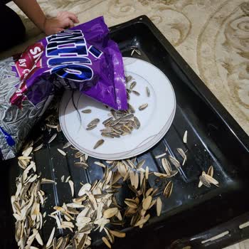 Amigo Böceğin Tuzlu Çekirdek Macerası