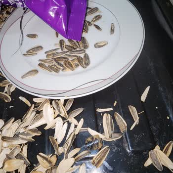 Amigo Böceğin Tuzlu Çekirdek Macerası