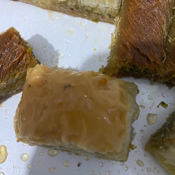 Park Piramit Tatlıların Üzerinde Böcekler