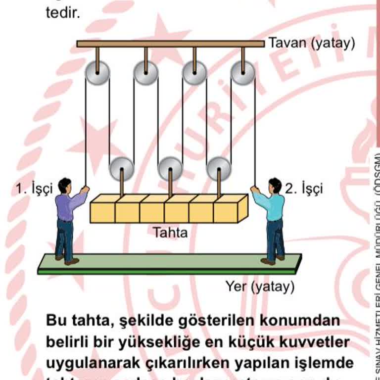 Milli Eğitim Bakanlığı (MEB) 2024 LGS Fen Makara Sorusu