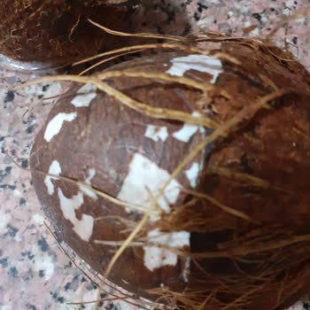 File Market Hindistan Cevizleri Küflü