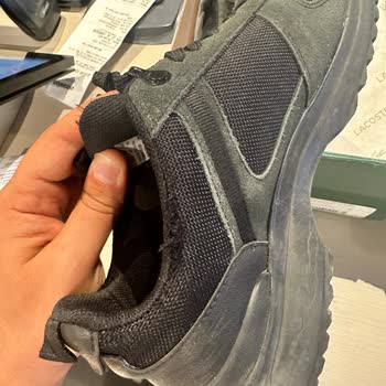 Verilen Paranın Hakkı Değildir Lacoste