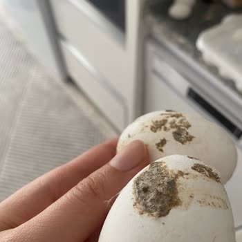 Migros Yumurtacım Marka Kusurlu Ürün