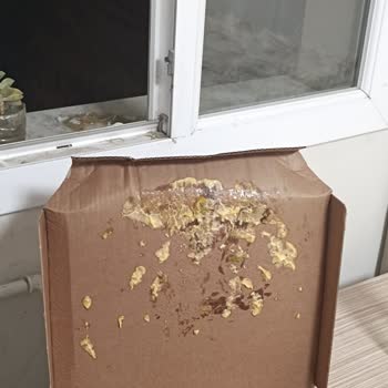 Domino's Pizza Hasarlı Ürün Gönderimi