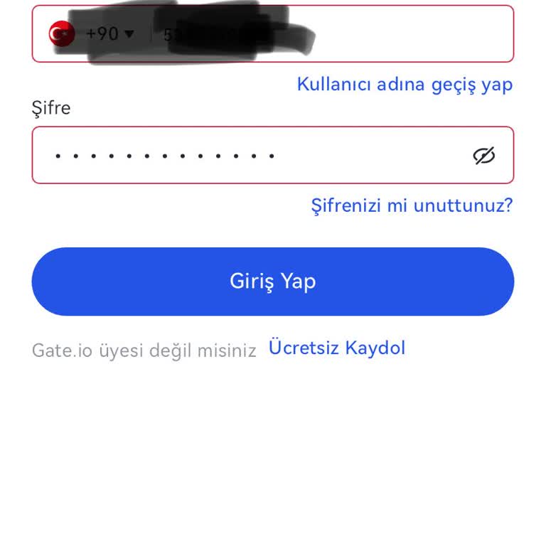 Gate.io Fazla Giriş Denemesi