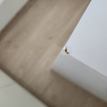 Vivense Zenio Side Çalışma Masası