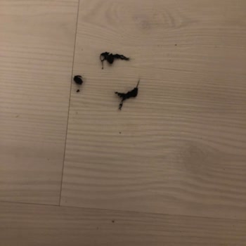 Pull & Bear Kaşıntı Yapan, Hemen Tiftiklenen Kalitesiz Eşofman Ve Tsh