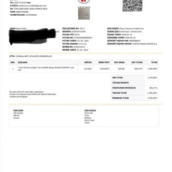 JBL Tune Flex Bluetooth Problemi