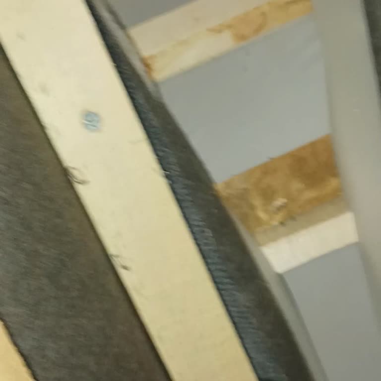 Osmanlı Mobilya Malzemenin Yüzde 99'u Kavak