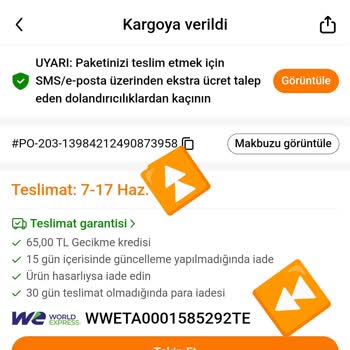 We World Express Temu Alışveriş Sitesi Alışveriş Yapma Sorunu