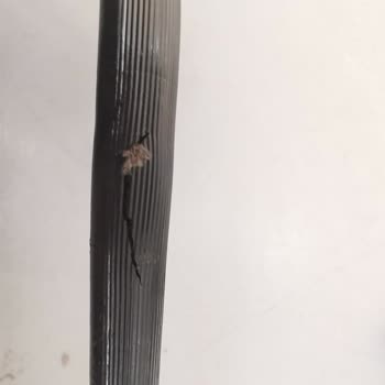 Volvo Türkiye Volvo Volcar Karşıyaka Ve Volvo Nun Sağlam Olmaması