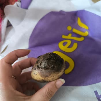 Getir-(Me ) Çürük Bozuk Sebze