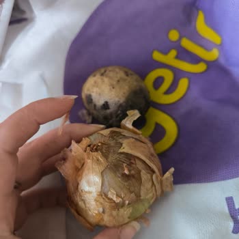 Getir-(Me ) Çürük Bozuk Sebze