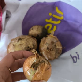 Getir-(Me ) Çürük Bozuk Sebze