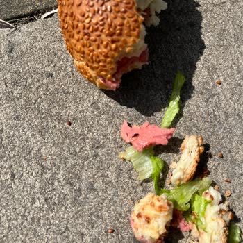 İnci Pastanesi Pastanede Beklenmedik Misafir