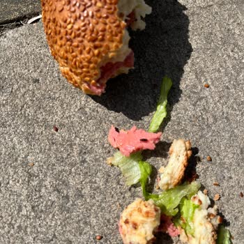 İnci Pastanesi Pastanede Beklenmedik Misafir