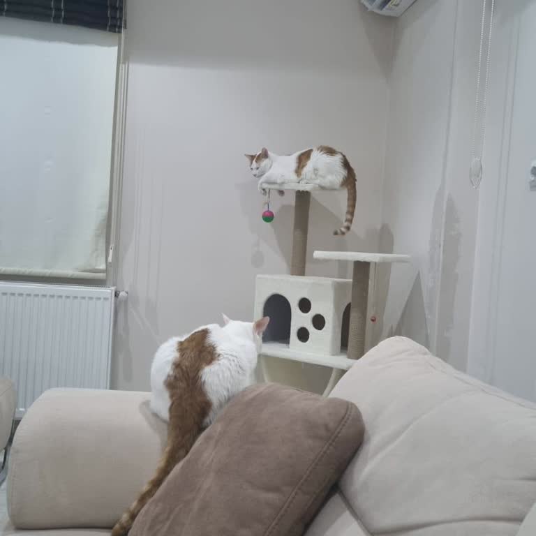 FujiPlus Su Kaçıran Klimayı Servisin Gelip Yapmaması