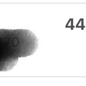 Kuveyt Türk Döviz Kurunu Provizyondan Çıkan Günü Alıyor!