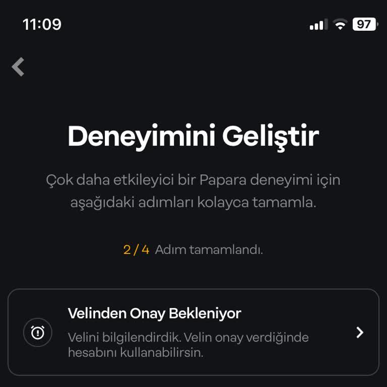 Papara Sistem Tarafından Hesap Onaylanmıyor