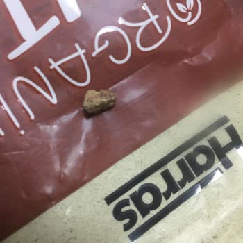 Harras Marka Organik Dut Kurusunun İçinden Taş Çıkması