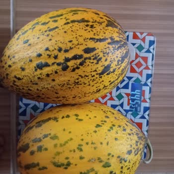 Şok Marketler Şok Marketten Şeke Edici Eksik Kilogramlı Ürün.