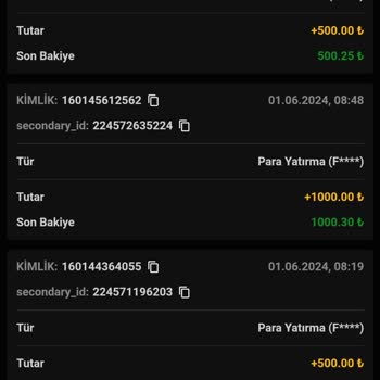 Elitroyal Yatırım Deneyimimde Karşılaştığım Sorunlar