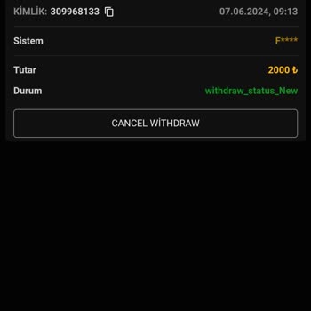 Elitroyal Yatırım Deneyimimde Karşılaştığım Sorunlar